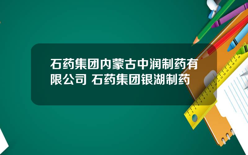 石药集团内蒙古中润制药有限公司 石药集团银湖制药